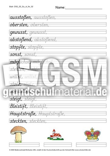 DSS_2S_Bu_st_Nr_02.pdf